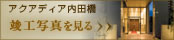 ǥĶ׹̿򸫤